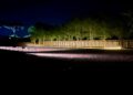 Pompei al chiaro di luna: nuove aperture serali al Parco Archeologico