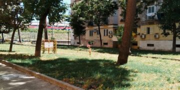 Napoli riparte dal patrimonio green