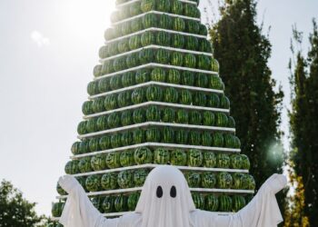 Il giardino delle zucche di Pignataro Maggiore inugaura il “Summerween”