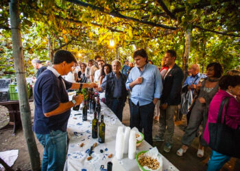 Pozzuoli. Jazz in Vigna: musica e sapori nel cuore dei Campi Flegrei