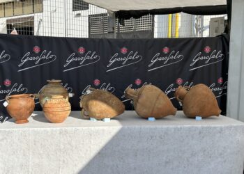Gragnano, mostrati gli straordinari reperti della necropoli di Stabiae