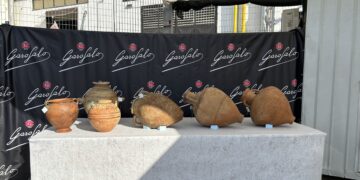 Gragnano, mostrati gli straordinari reperti della necropoli di Stabiae