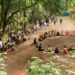 Faito Doc Festival: cinema e natura nel cuore del Parco dei Monti Lattari