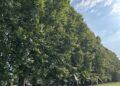 Real Polverificio Borbonico di Scafati, apre il grande parco da 16 ettari per tutti con accesso gratuito