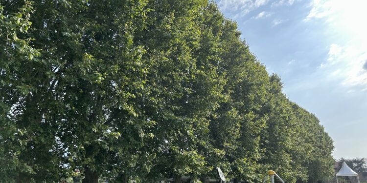 Real Polverificio Borbonico di Scafati, apre il grande parco da 16 ettari per tutti con accesso gratuito