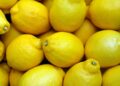 Massa Lubrense festeggia 50 anni di “Limoni in Festa”