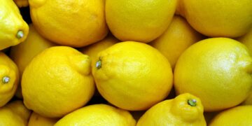 Massa Lubrense festeggia 50 anni di “Limoni in Festa”