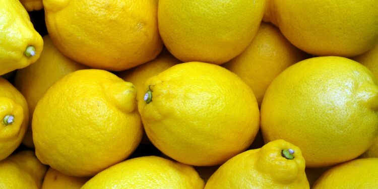 Massa Lubrense festeggia 50 anni di “Limoni in Festa”