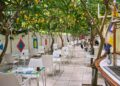 Maiori. Ristorante Pineta 1903, un’antica limonaia restaurata