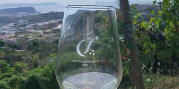Vendemmia 2026, alle Cantine Federiciane si raccoglie l’anima vulcanica di Vigna Cigliano