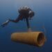 La Baia di Ieranto rifiorisce: al via il trapianto per estendere le praterie di posidonia