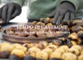 Tempo di castagne: le sagre da non perdere