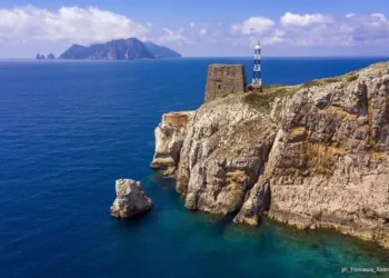Balene e delfini, a Punta Campanella un percorso per rendere più responsabili i tour in mare