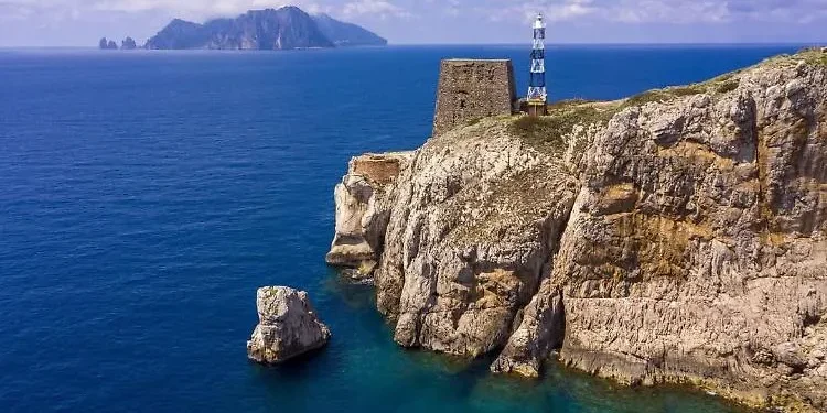 Balene e delfini, a Punta Campanella un percorso per rendere più responsabili i tour in mare
