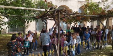 La vendemmia nei giardini della Certosa di San Martino